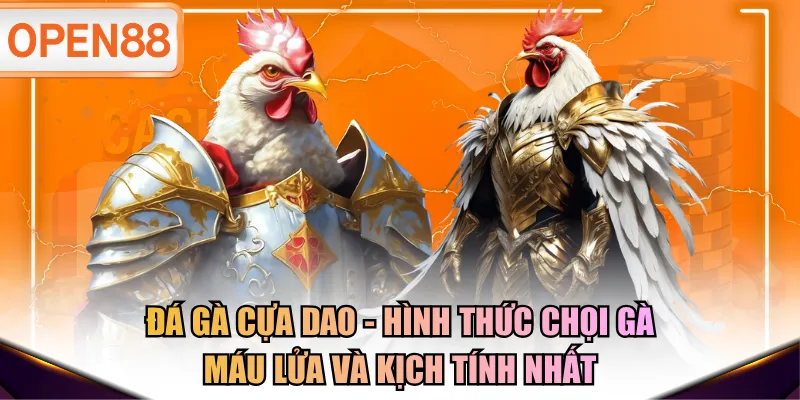 Đá gà cựa dao