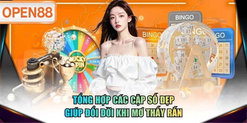 Tổng hợp các cặp số đẹp giúp đổi đời khi mơ thấy rắn